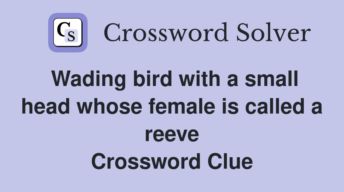 Wading bird with a small head whose female is called a reeve